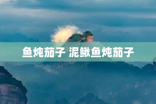 鱼炖茄子 泥鳅鱼炖茄子