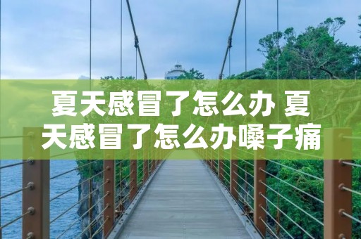 夏天感冒了怎么办 夏天感冒了怎么办嗓子痛流鼻涕 夏天感冒了怎么办 夏天感冒了怎么办嗓子痛流鼻涕