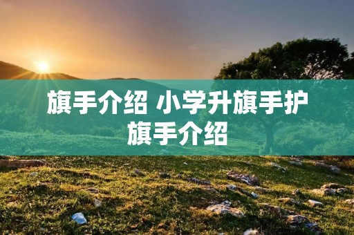 旗手介绍 小学升旗手护旗手介绍 旗手介绍 小学升旗手护旗手介绍
