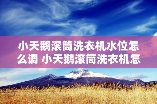 小天鹅滚筒洗衣机水位怎么调 小天鹅滚筒洗衣机怎么用 教程