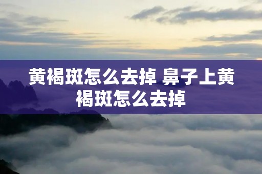 黄褐斑怎么去掉 鼻子上黄褐斑怎么去掉 黄褐斑怎么去掉 鼻子上黄褐斑怎么去掉