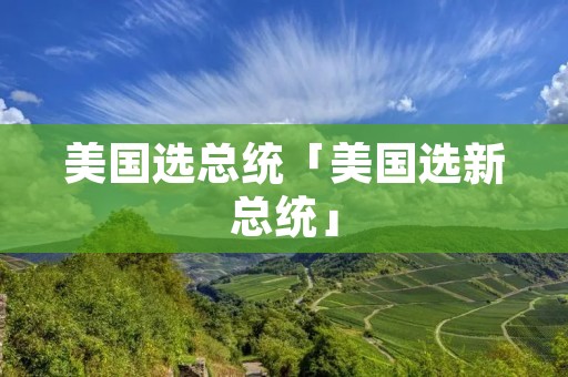 美国选总统「美国选新总统」