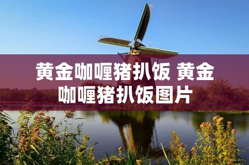 黄金咖喱猪扒饭 黄金咖喱猪扒饭图片 黄金咖喱猪扒饭 黄金咖喱猪扒饭图片