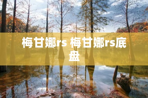 梅甘娜rs 梅甘娜rs底盘