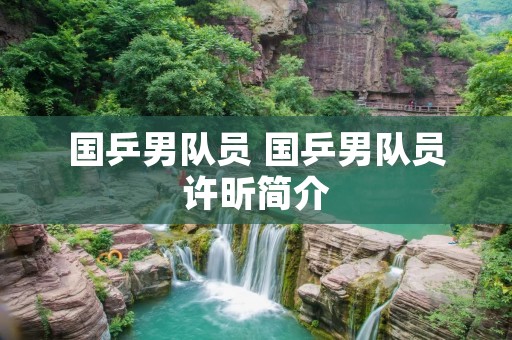 国乒男队员 国乒男队员许昕简介
