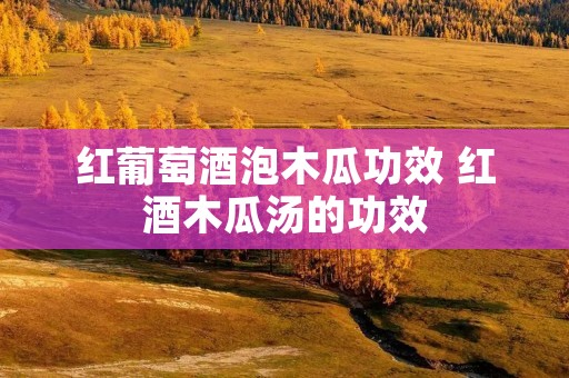 红葡萄酒泡木瓜功效 红酒木瓜汤的功效