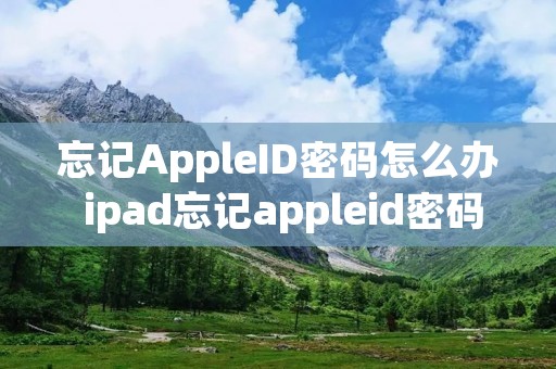 忘记AppleID密码怎么办 ipad忘记appleid密码怎么办 忘记AppleID密码怎么办 ipad忘记appleid密码怎么办