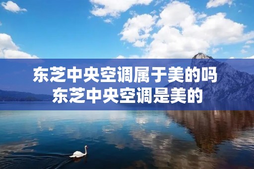 东芝中央空调属于美的吗 东芝中央空调是美的