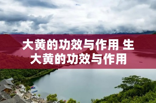大黄的功效与作用 生大黄的功效与作用