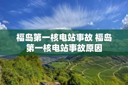 福岛第一核电站事故 福岛第一核电站事故原因