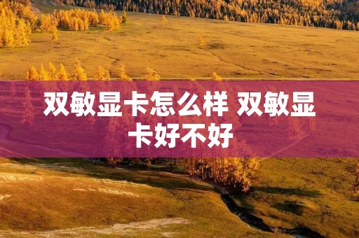 双敏显卡怎么样 双敏显卡好不好 双敏显卡怎么样 双敏显卡好不好