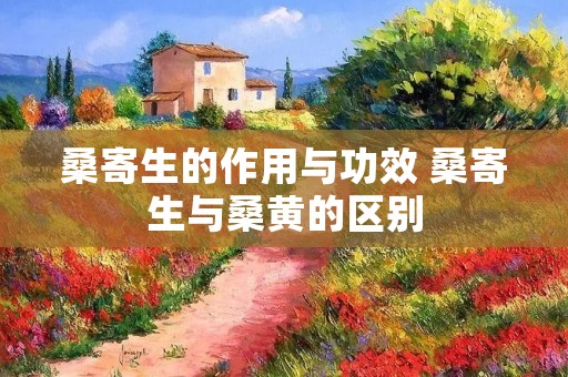 桑寄生的作用与功效 桑寄生与桑黄的区别