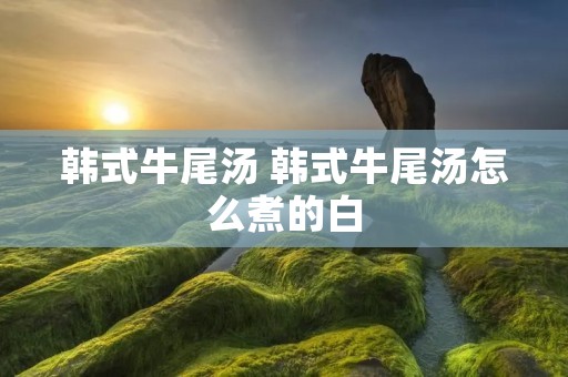 韩式牛尾汤 韩式牛尾汤怎么煮的白