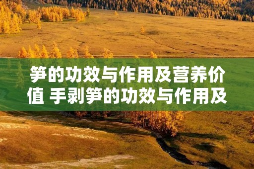 笋的功效与作用及营养价值 手剥笋的功效与作用及营养价值