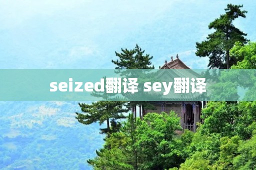 seized翻译 sey翻译