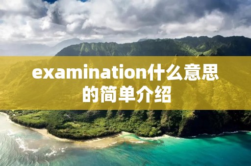 examination什么意思的简单介绍