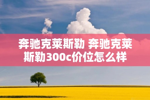 奔驰克莱斯勒 奔驰克莱斯勒300c价位怎么样