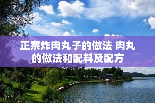 正宗炸肉丸子的做法 肉丸的做法和配料及配方 正宗炸肉丸子的做法 肉丸的做法和配料及配方