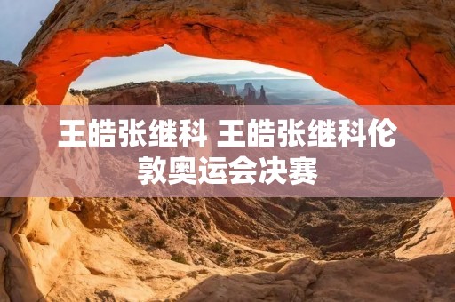 王皓张继科 王皓张继科伦敦奥运会决赛 王皓张继科 王皓张继科伦敦奥运会决赛