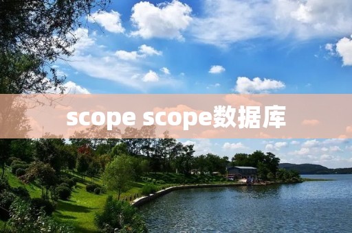 scope scope数据库