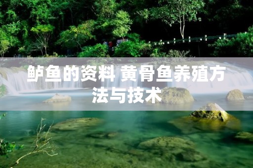 鲈鱼的资料 黄骨鱼养殖方法与技术