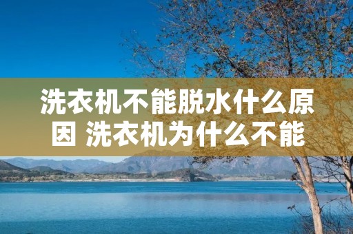 洗衣机不能脱水什么原因 洗衣机为什么不能脱水