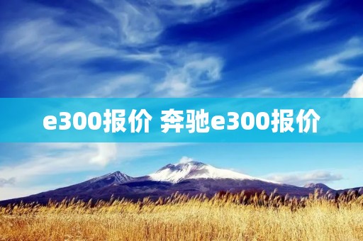 e300报价 奔驰e300报价
