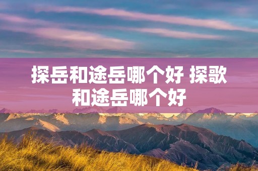 探岳和途岳哪个好 探歌和途岳哪个好 探岳和途岳哪个好 探歌和途岳哪个好