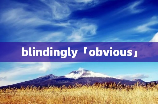 blindingly「obvious」