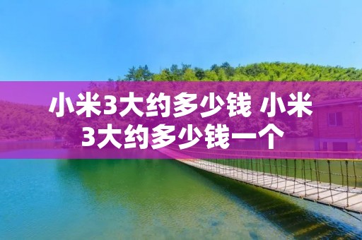 小米3大约多少钱 小米3大约多少钱一个