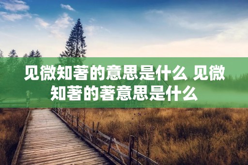 见微知著的意思是什么 见微知著的著意思是什么