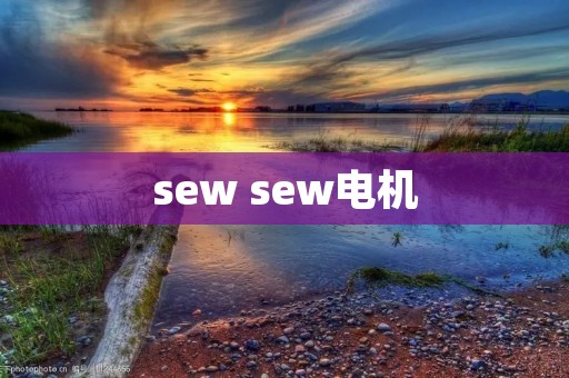 sew sew电机