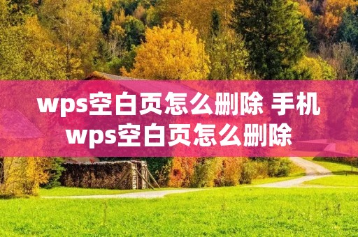 wps空白页怎么删除 手机wps空白页怎么删除 wps空白页怎么删除 手机wps空白页怎么删除