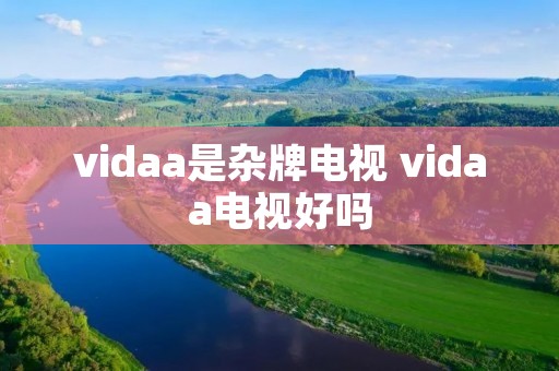 vidaa是杂牌电视 vidaa电视好吗