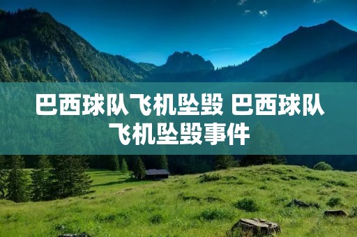 巴西球队飞机坠毁 巴西球队飞机坠毁事件 巴西球队飞机坠毁 巴西球队飞机坠毁事件