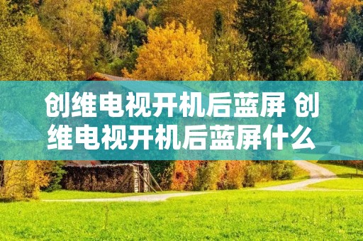创维电视开机后蓝屏 创维电视开机后蓝屏什么也不好使