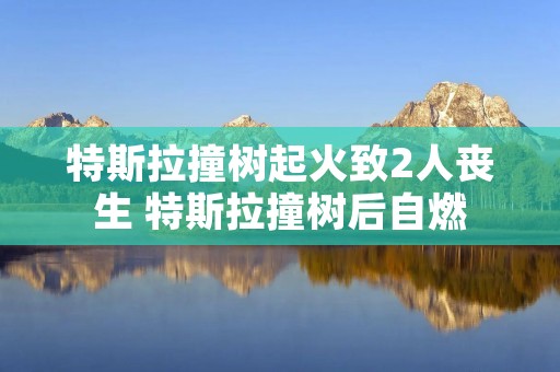 特斯拉撞树起火致2人丧生 特斯拉撞树后自燃