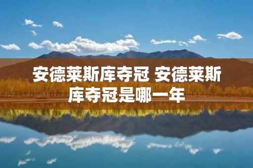 安德莱斯库夺冠 安德莱斯库夺冠是哪一年 安德莱斯库夺冠 安德莱斯库夺冠是哪一年