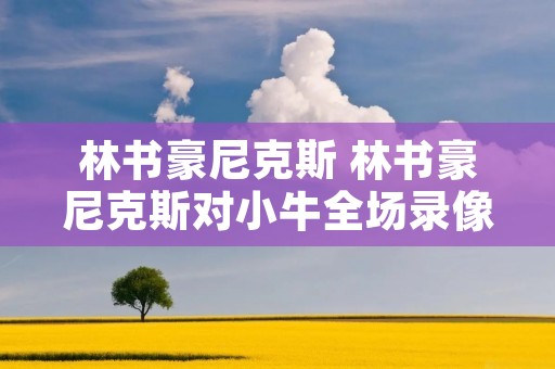 林书豪尼克斯 林书豪尼克斯对小牛全场录像 林书豪尼克斯 林书豪尼克斯对小牛全场录像