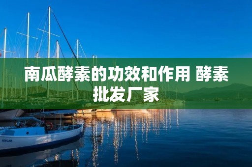 南瓜酵素的功效和作用 酵素批发厂家