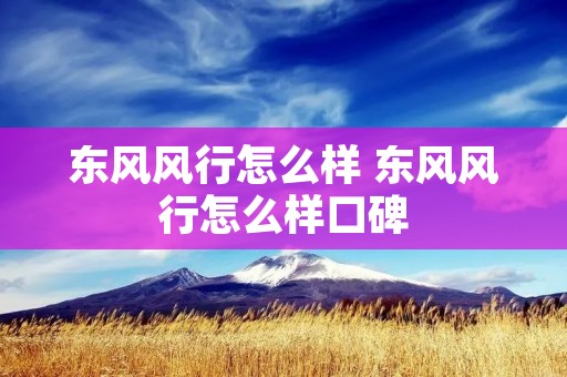 东风风行怎么样 东风风行怎么样口碑