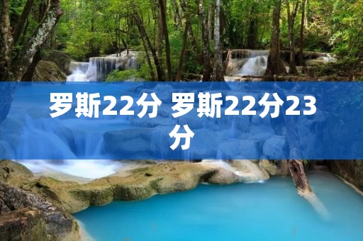罗斯22分 罗斯22分23分