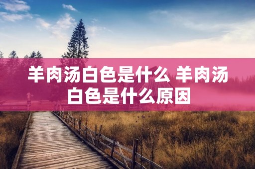羊肉汤白色是什么 羊肉汤白色是什么原因