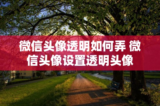 微信头像透明如何弄 微信头像设置透明头像