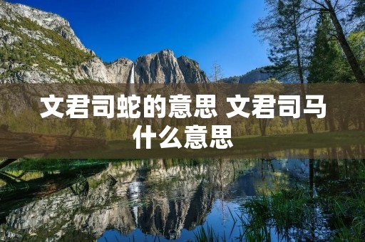 文君司蛇的意思 文君司马什么意思