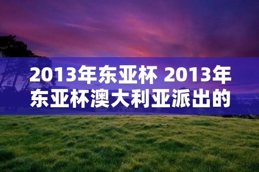 2013年东亚杯 2013年东亚杯澳大利亚派出的阵容