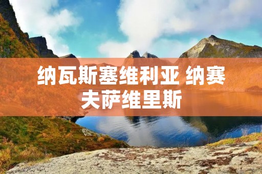 纳瓦斯塞维利亚 纳赛夫萨维里斯