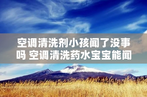 空调清洗剂小孩闻了没事吗 空调清洗药水宝宝能闻吗