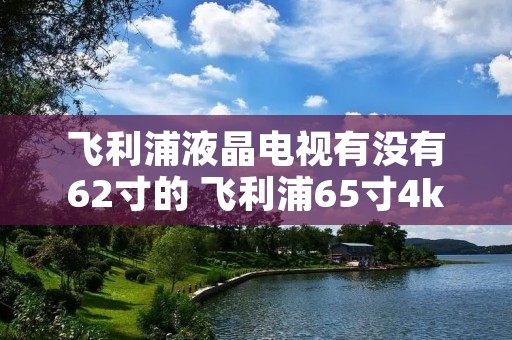 飞利浦液晶电视有没有62寸的 飞利浦65寸4k电视