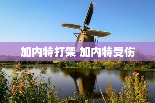 加内特打架 加内特受伤